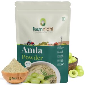 Farmnidhi Natural Amla Powder for Hair Growth